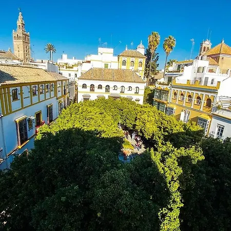 Apartamento Plaza de Doña Elvira 8 Sevilla Exterior foto