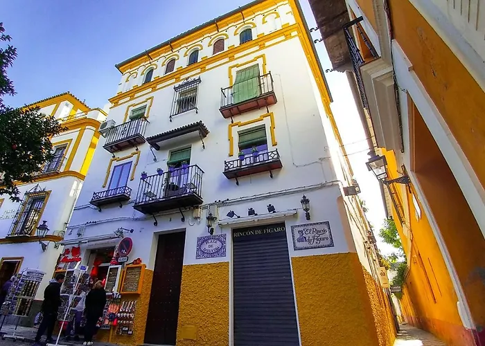 Apartamento Plaza De Dona Elvira 8